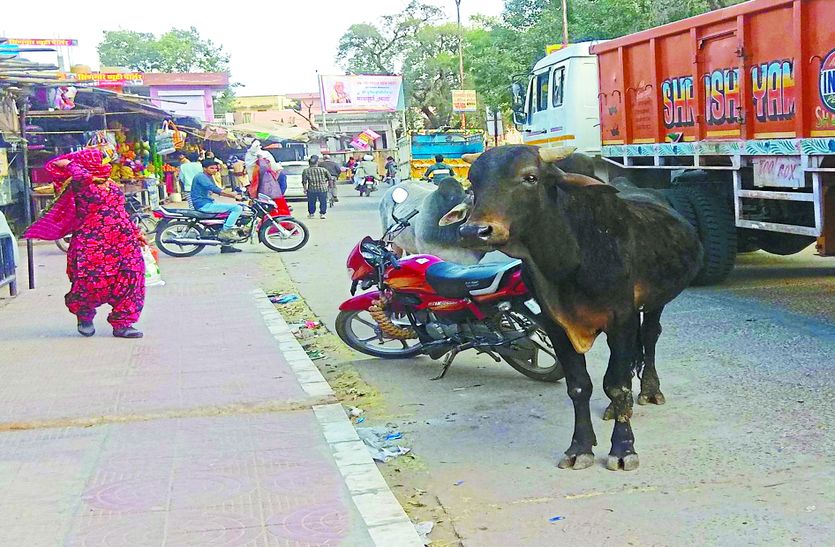 sikar hindi local news