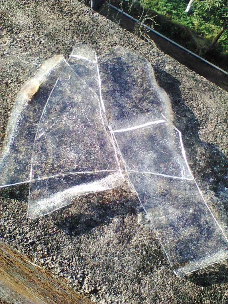 Weather changed: In Amarkantak, in the month of February, the ice in t