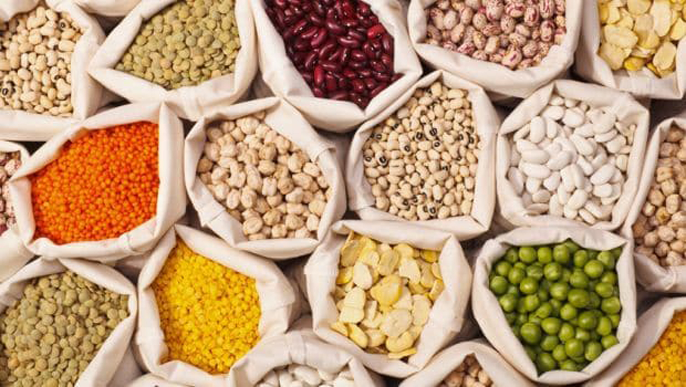 Proteins from pulses