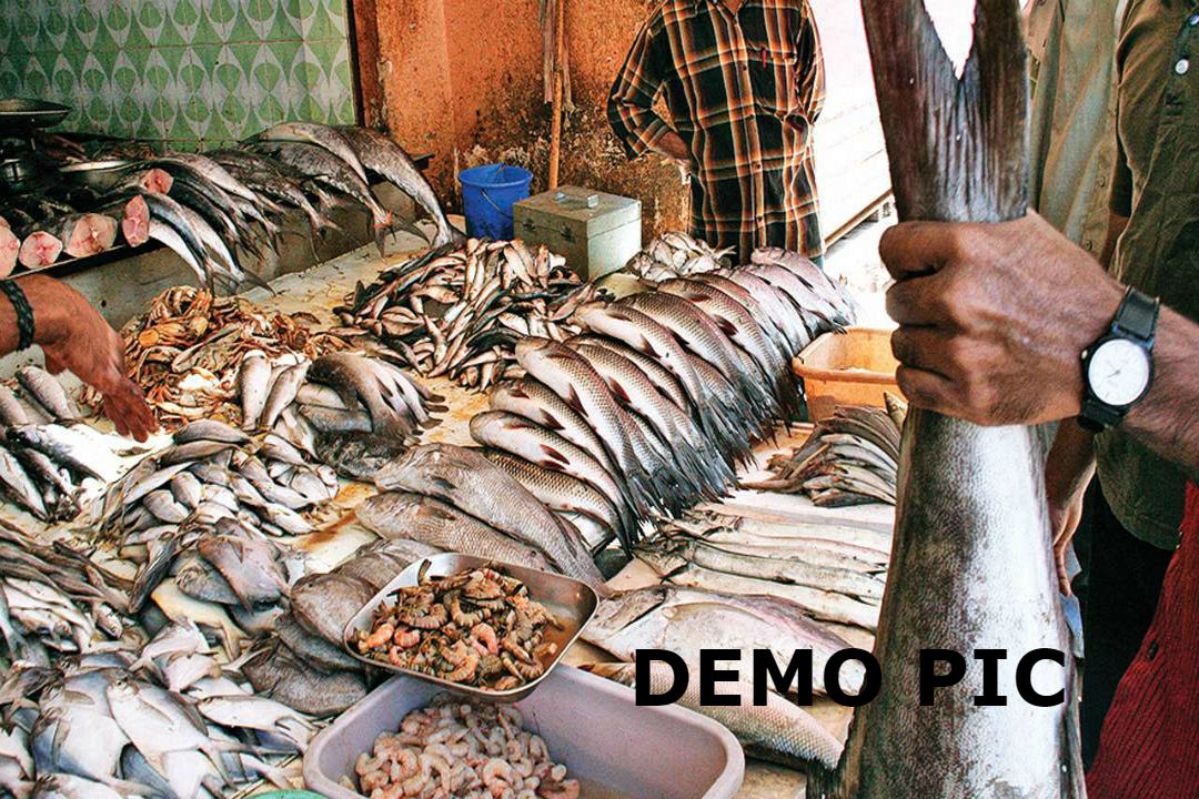 Fish Market