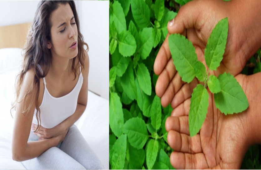tulsi-is-beneficial-for-irregular-menstrual-cycle