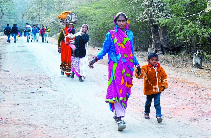 जंगल से पैदल गुजरते खण्डार व श्योपुर के यात्री।