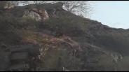 Panther was beaten by the villagers, now the movement of the bears sti