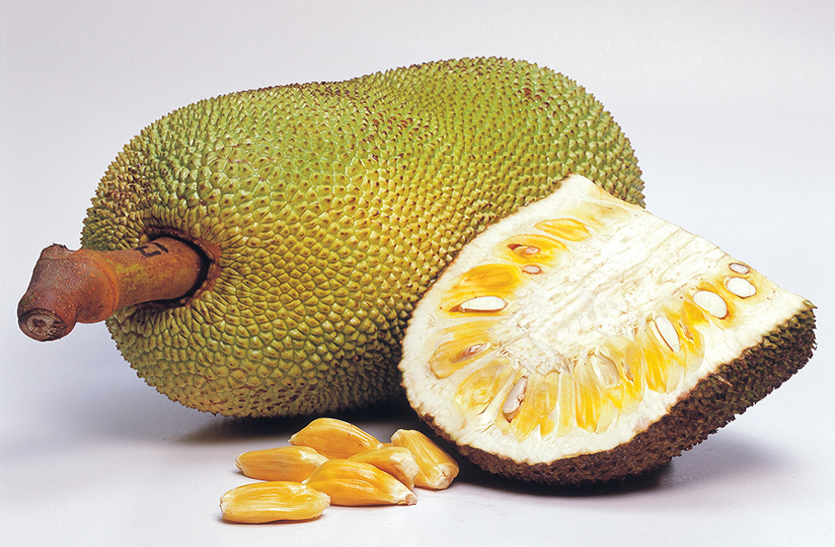 jackfruit-is-beneficial-for-many-diseases-of-the-body