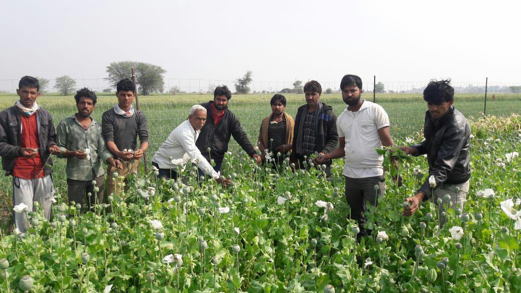Farmer Letest News In Hindi Neemuch