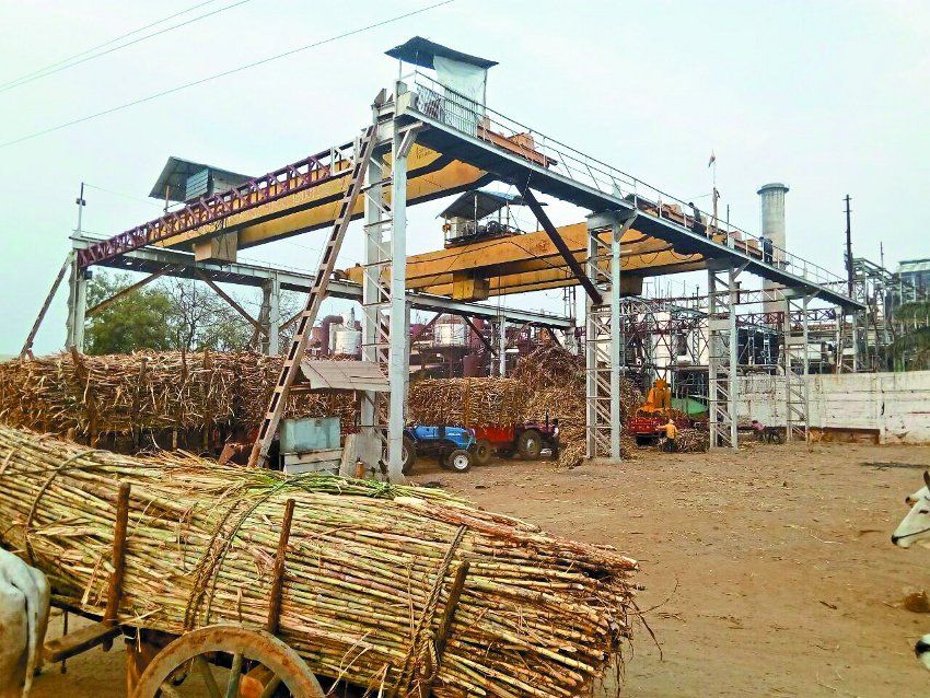 Farmers are not getting the price of sugarcane crop