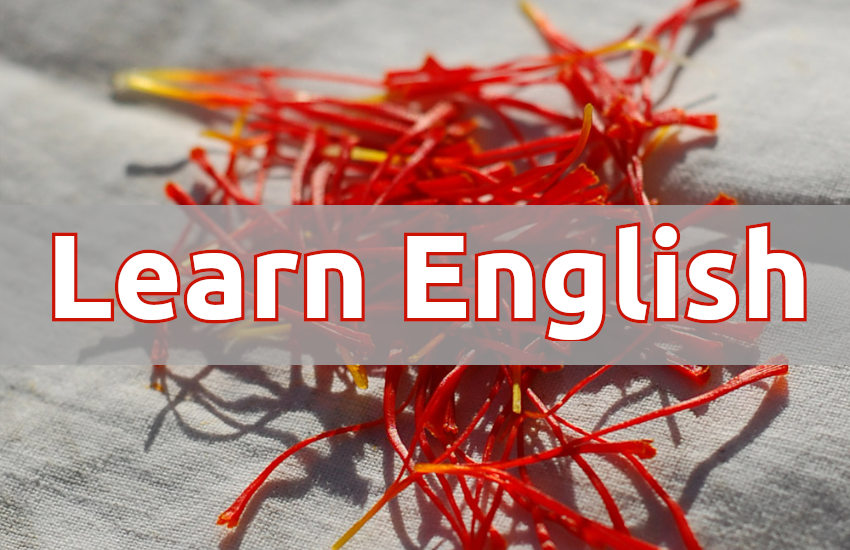 english,Education,learn english,education news in hindi,toefl,education tips in hindi,how to learn english,