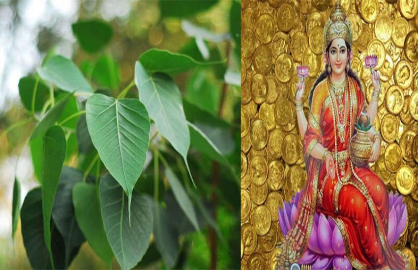 पीपल के पत्ते पर यह मंत्र लिखकर चढा़एं भगवान विष्णु को, रातों-रात होगी धन वर्षा