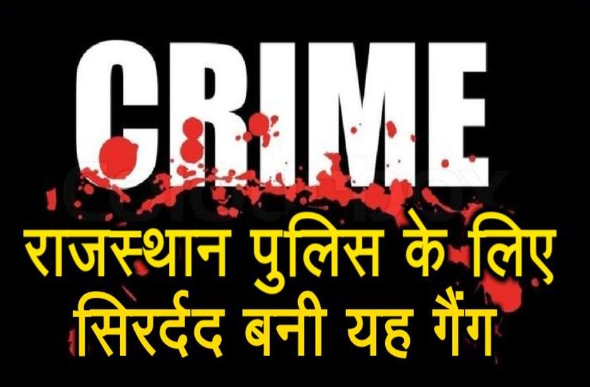 Shekhawati Gang Looting Wine In All Over Rajasthan