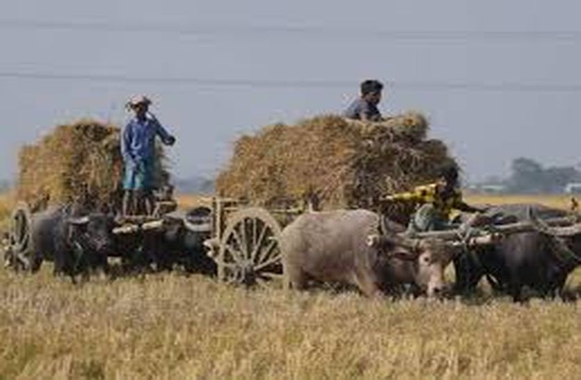 farmer-s-loan-waiver-by-biometric-verification