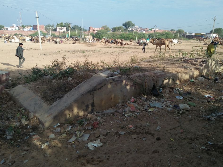 karauli hindi news