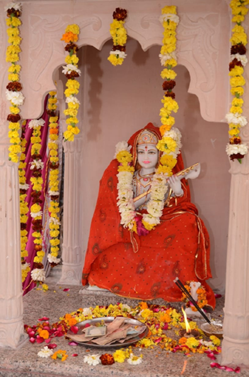 pran-pratishtha-of-the-saraswati-statue