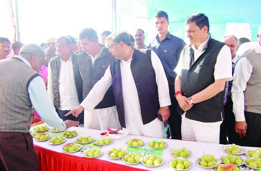 बजरिया के इंदिरा मैदान में आयोजित प्रदर्शनी का अवलोकन करते विधायक।