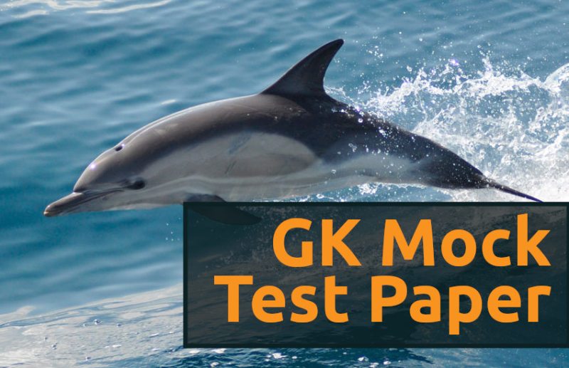 Education,interview,exam,online test,rojgar samachar,interview tips,online exam,Mock Test,education news in hindi,general knowledge,GK,interview questions,jobs in hindi,rojgar,competition exam,mock test paper,education tips in hindi,sarkari job,questions Answers,GK mock test,