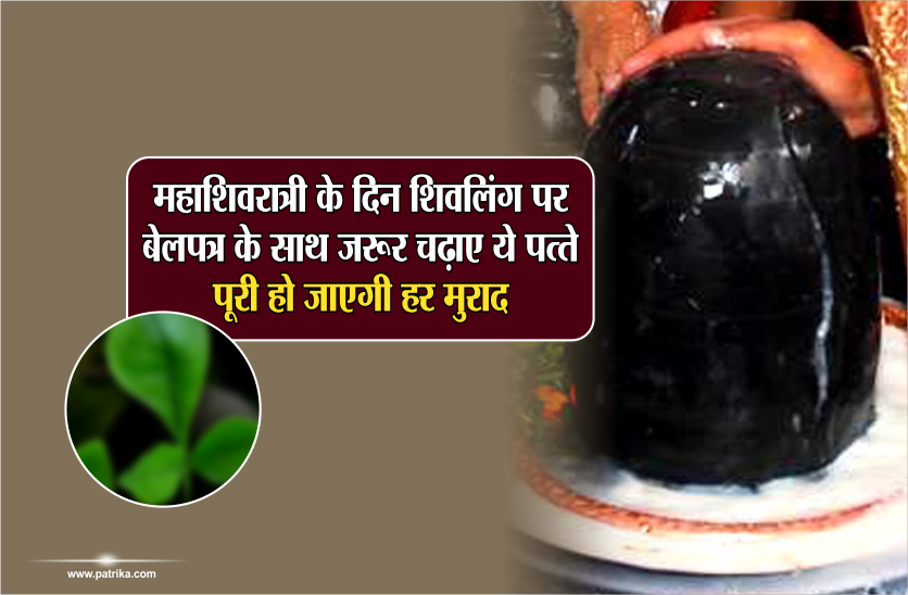 mahashivratri 2019