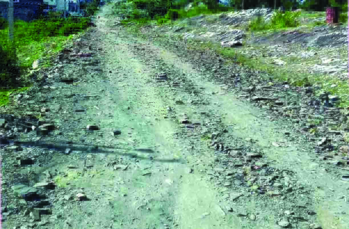 Rajsamand,Rajsamand local news,rajsamand latest news,rajsamand latest hindi news,PWD Rajasthan,rajsamand latest hindi news rajsamand,rajsamand latest news rajsamand,Latest News rajsamand,Latest hindi news rajsamand,