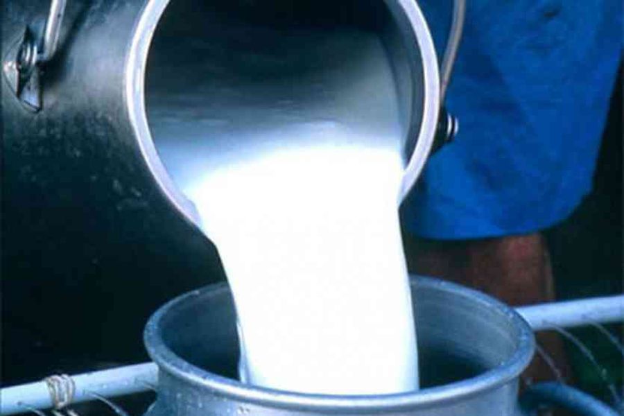 milk