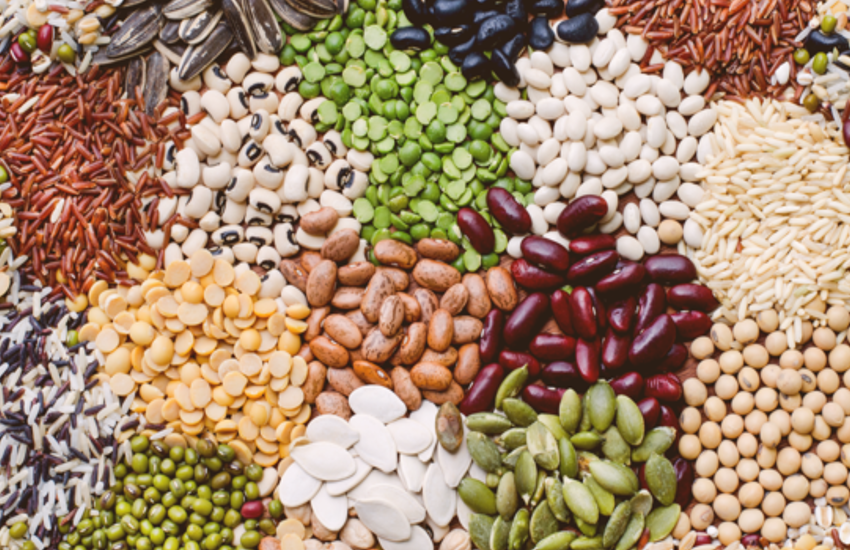 seeds benefits