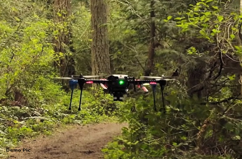 Forests will be monitored by drones for prevention of animal hunting