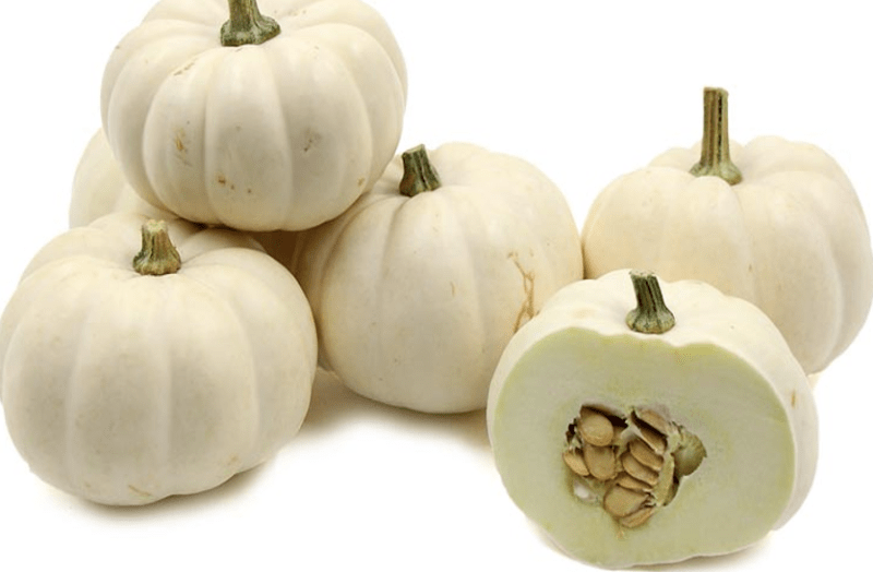 white-pumpkin-is-beneficial-for-obesity-stomach-disease-and-stress