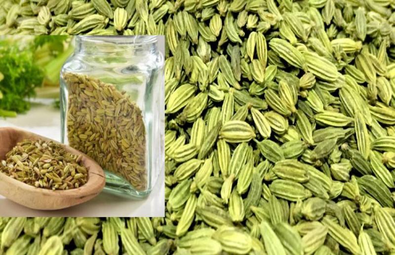इस तरह से करें सौंफ का सेवन, जल्दी ही इन जानलेवा बीमारियों से मिलेगा छुटकारा