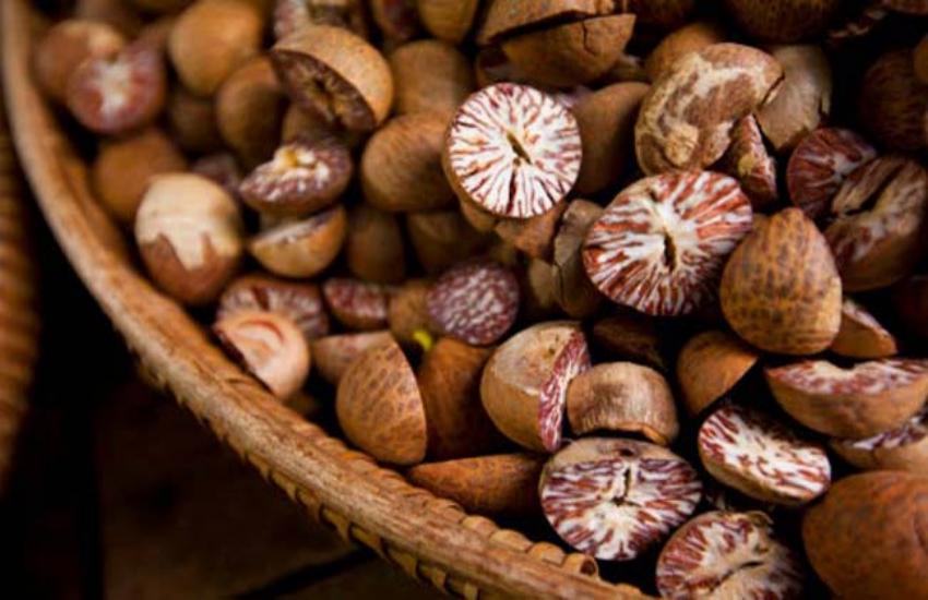 betel nuts benefits