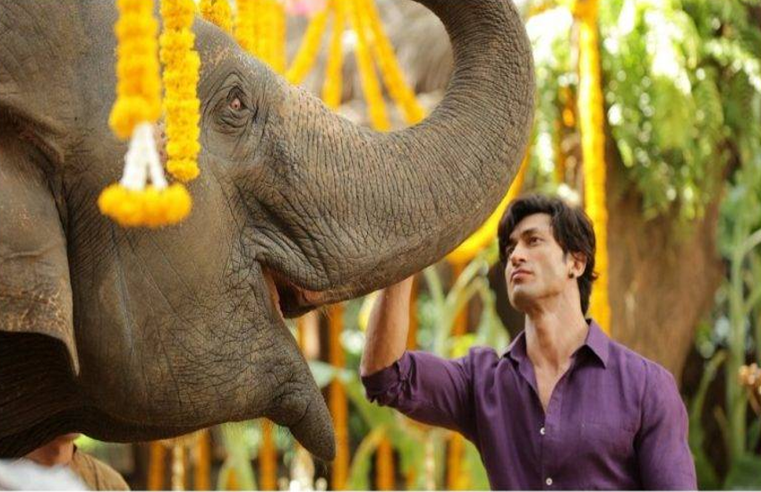 vidyut jamwal