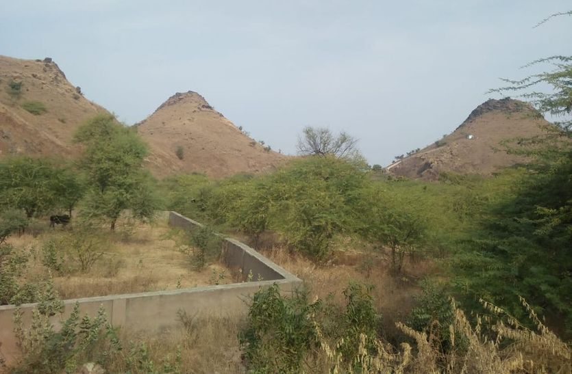 In this district of Rajasthan, there is suppressed iron reserves, not found path, revenue and forest department showing negligence Reopen the project's key file