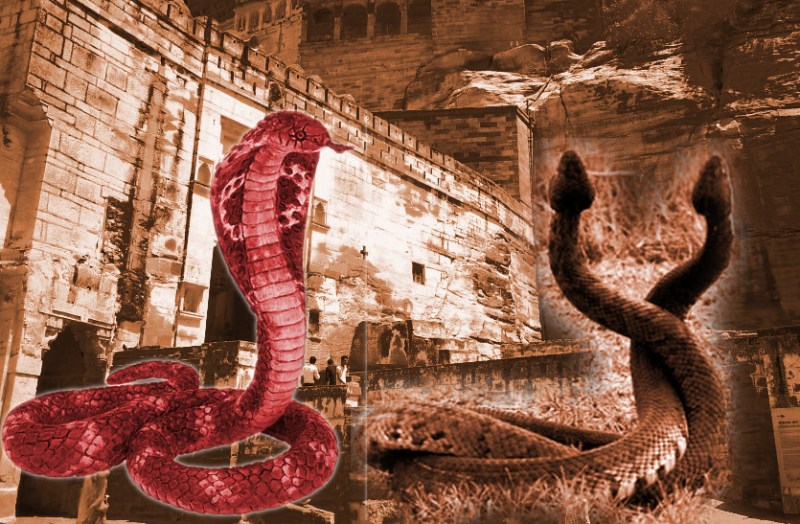 Dausa Mahwa Fort History