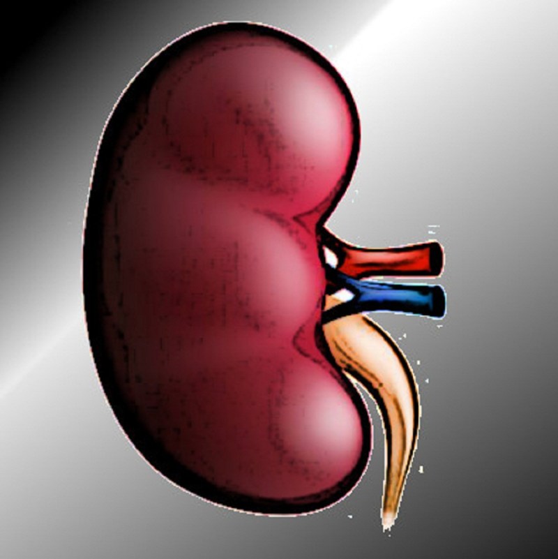 court permits man to donate kidney to mother