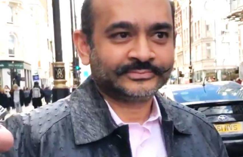 Nirav modi Jacket