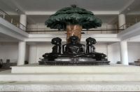 God had to sit under the Kalpa Vriksha in bhilwara