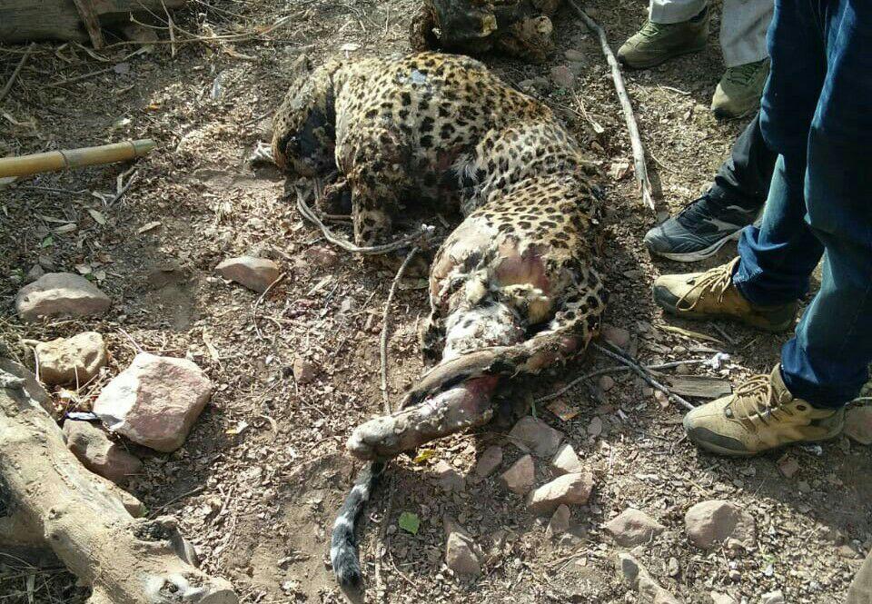 Panther's death, mart mili mada panther