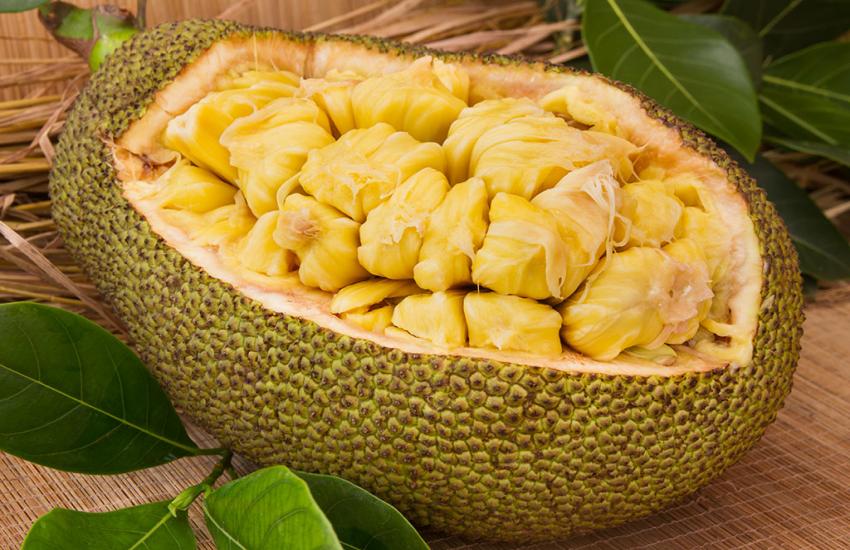 पौषक तत्वों से युक्त है कटहल, इसके बीज भी शरीर को देते है कई फायदे