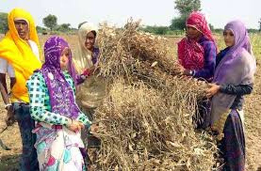 Debt waiver over government, tough farmers in bhilwara