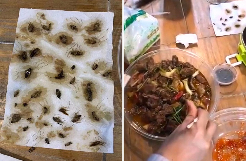 woman finds more than 40 dead cockroaches in takeaway meal
