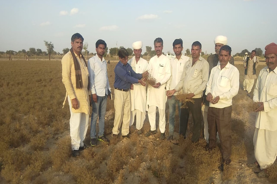 weather news of jodhpur