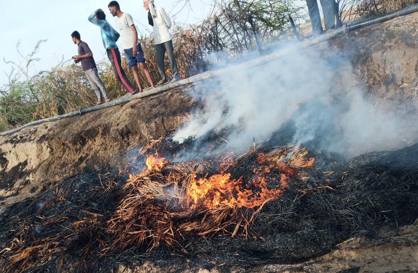 burning-kebbi-and-mustard-water-to-the-farm-due-to-fire