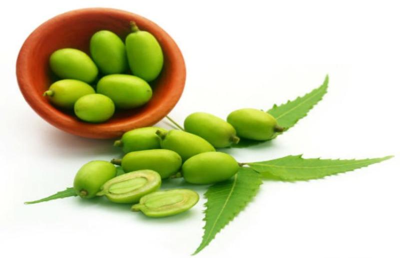 neem ke beej ke fayde