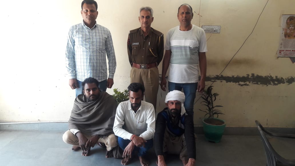 bikaner news