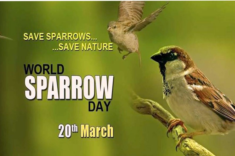 World Sparrow Day