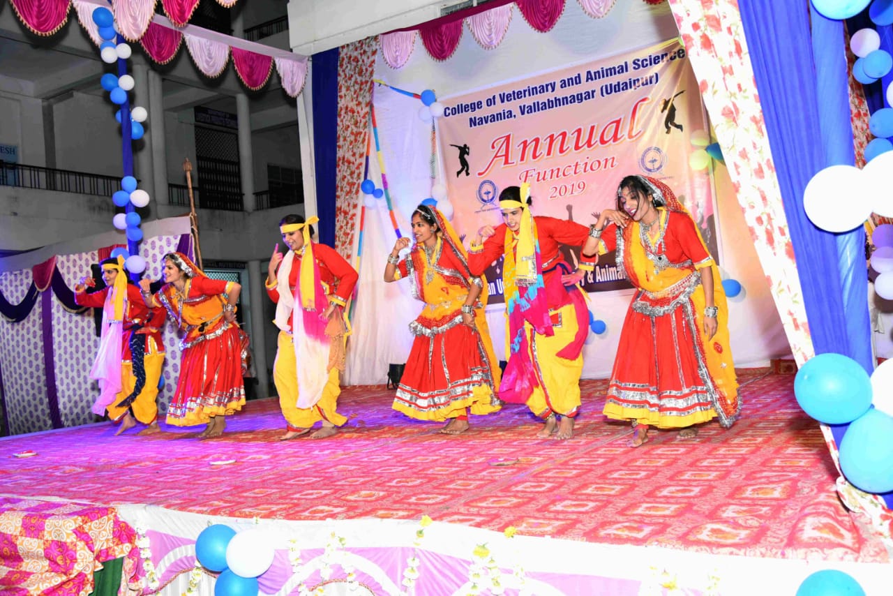 annual function