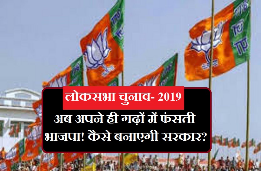 bjp in problem