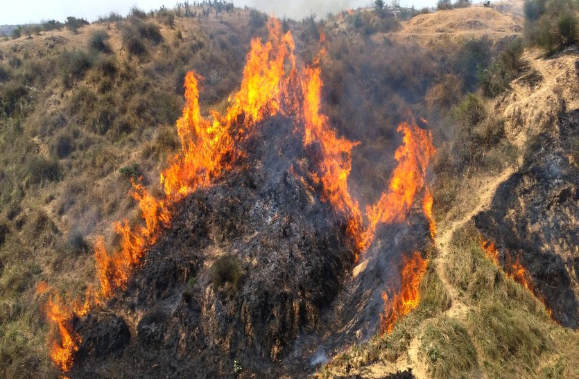 karauli