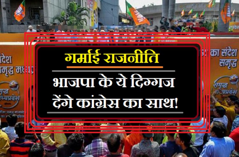 2019 election