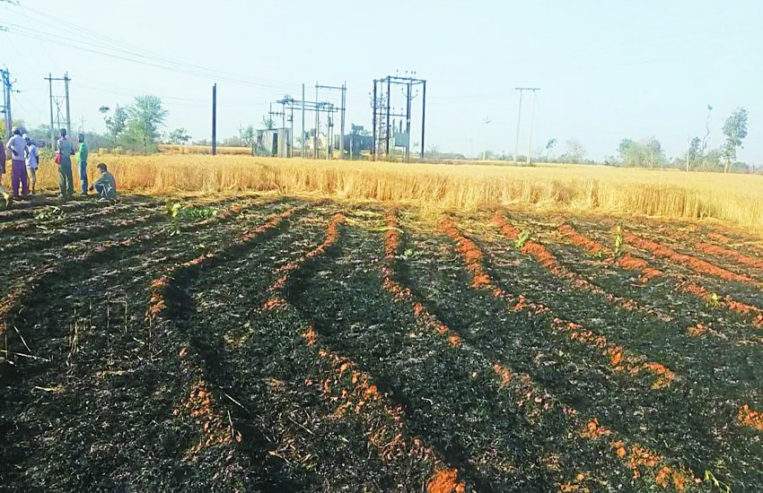 Crop trap due to fire