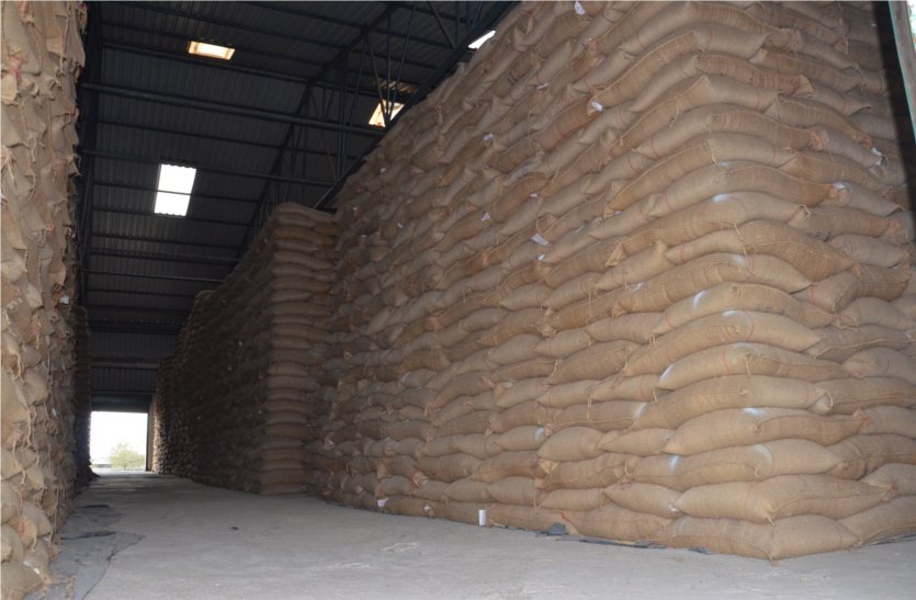Not enough space in the warehouse, preparing to keep wheat in the open
