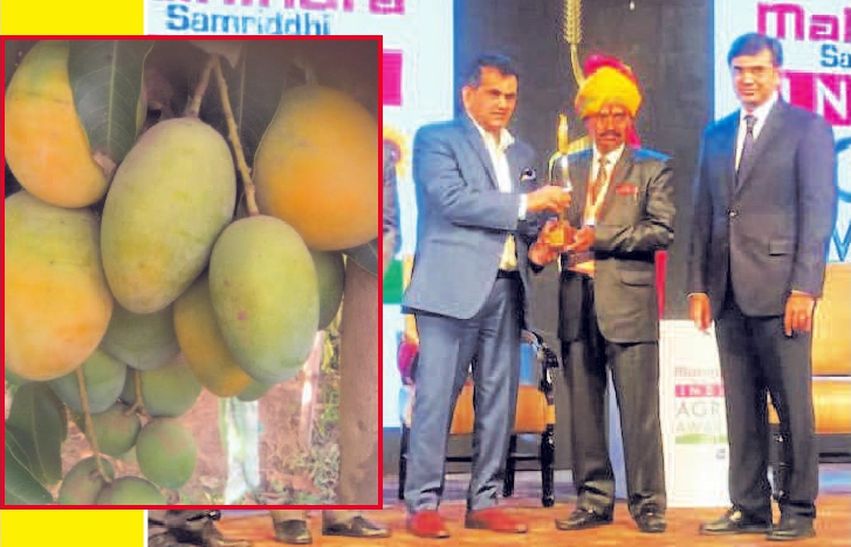 Innovation : एक आइडिये ने कोटा के इस किसान की बदल दी जिन्दगी, अब देश के कृषि वैज्ञानिक हैं इनके पीछे…