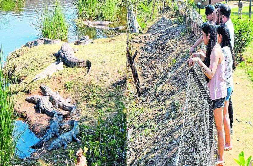 Forest Department Team Visit Illegal Crocodile Point On SIliserh Lake