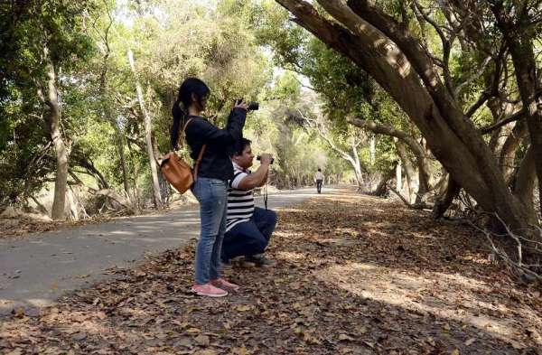 bird fair in keoladeo national park bharatpur